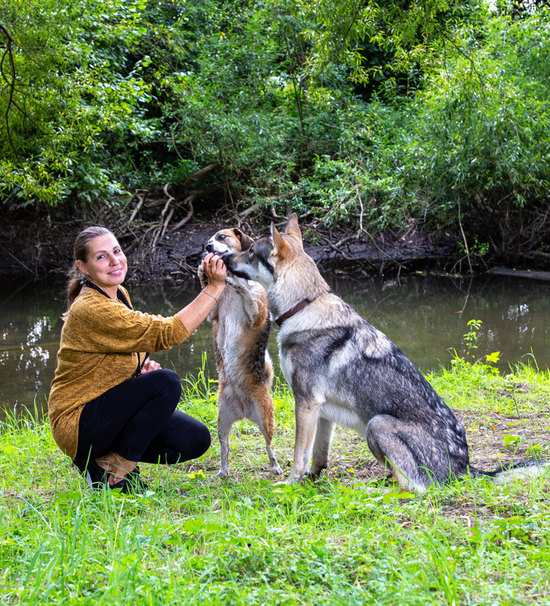 hundetraining andrea müller